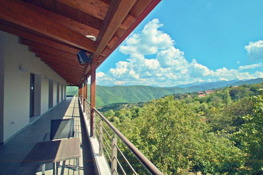Hôtel Omilaia à Gardiki Extérieur photo